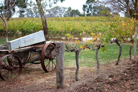 Maggie Beer Farm - Barossa Valley Regional Tour - Hotel VIC 1