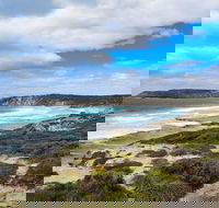 Kangaroo Island Luxury Small Group 'East End Explorer' Full Day Tour - Hotel VIC