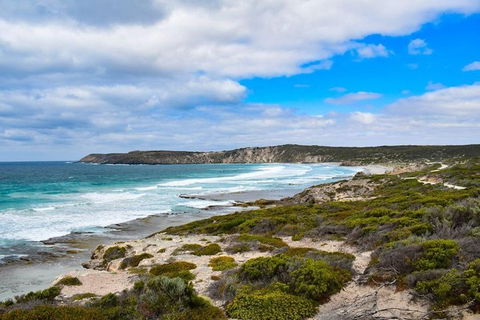 Kangaroo Island Luxury Small Group 'East End Explorer' Full Day Tour - Hotel VIC 0