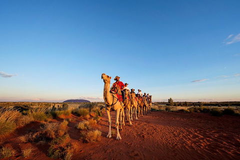Uluru Small-Group Tour By Camel At Sunrise Or Sunset - Hotel VIC 3