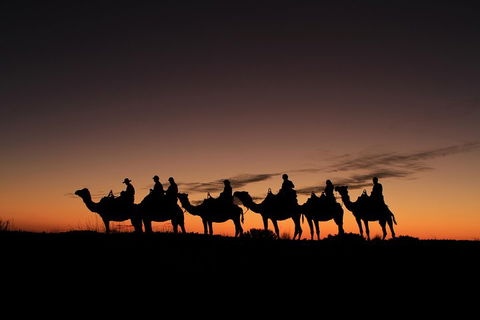 Uluru Small-Group Tour By Camel At Sunrise Or Sunset - Hotel VIC 4