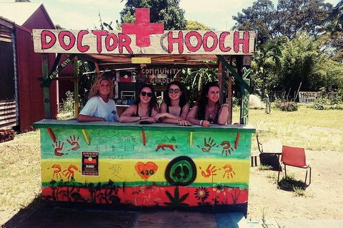 Byron Surrounds: Nimbin Waterfall Adventure - Swimming Tour - Hotel VIC 5