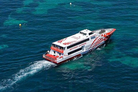 Discover Rottnest With Ferry & Bus Tour From Perth Or Fremantle - Hotel VIC 3