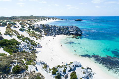Discover Rottnest With Ferry & Bus Tour From Perth Or Fremantle - Hotel VIC 5