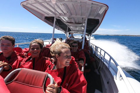 Adventure Rottnest Tour With Ferry & Adventure Cruise From Perth Or Fremantle - Hotel VIC 0