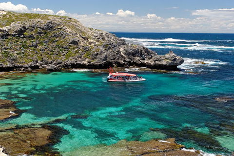 Adventure Rottnest Tour With Ferry & Adventure Cruise From Perth Or Fremantle - Hotel VIC 5
