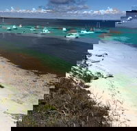 Experience Rottnest with Ferry  Bike Hire from Perth or Fremantle - Hotel VIC