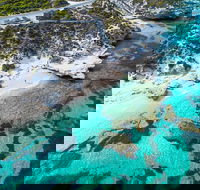 Rottnest Island Round-Trip Ferry from Perth or Fremantle - Hotel VIC