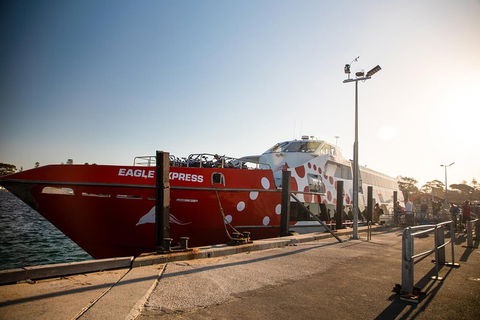 Rottnest Island Round-Trip Ferry From Perth Or Fremantle - Hotel VIC 2