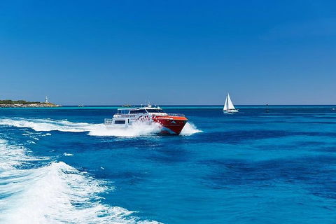 Rottnest Island Round-Trip Ferry From Perth Or Fremantle - Hotel VIC 4