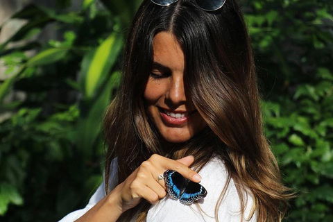 Australian Butterfly Sanctuary - Hotel VIC 2