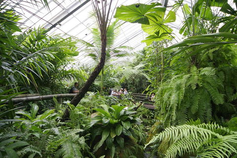 Australian Butterfly Sanctuary - Hotel VIC 3