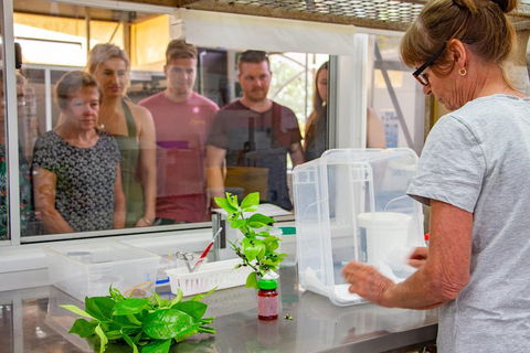 Australian Butterfly Sanctuary - Hotel VIC 5