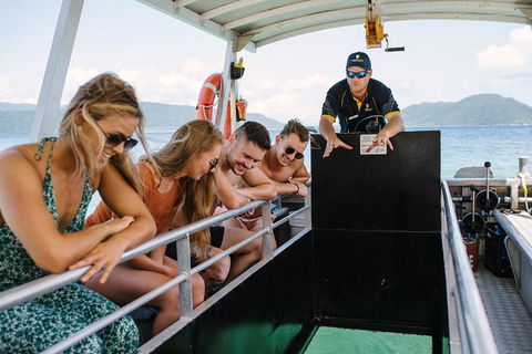 Fitzroy Island Day Trip From Cairns - Hotel VIC 4
