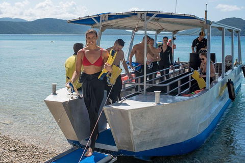 Fitzroy Island Day Trip From Cairns - Hotel VIC 5