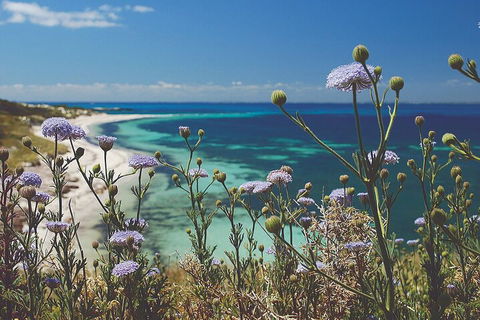 Rottnest Island Full-Day Trip With Guided Island Tour From Perth - Hotel VIC 2