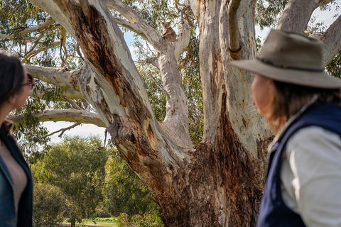 Full Day Flinders Chase Tour From Kangaroo Island - Hotel VIC 5