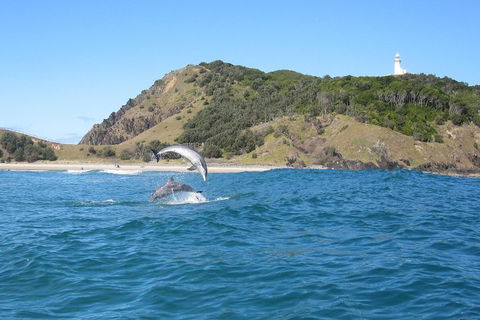 Kayaking With Dolphins In Byron Bay Guided Tour - Hotel VIC 0
