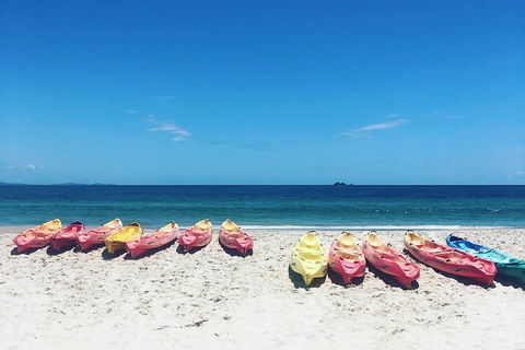 Kayaking With Dolphins In Byron Bay Guided Tour - Hotel VIC 1