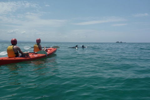 Kayaking With Dolphins In Byron Bay Guided Tour - Hotel VIC 4