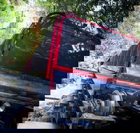 Blue Mountains Hop-on Hop-off Tour with Optional Scenic World Rides - Hotel VIC