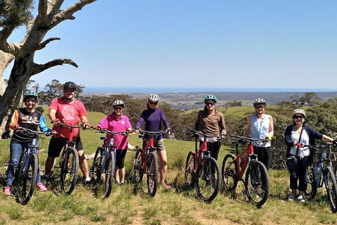 McLaren Vale Wine Tour By Bike - Hotel VIC 2