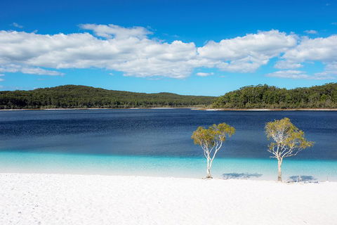 All-Inclusive Fraser Island Day Tour - Hotel VIC 3
