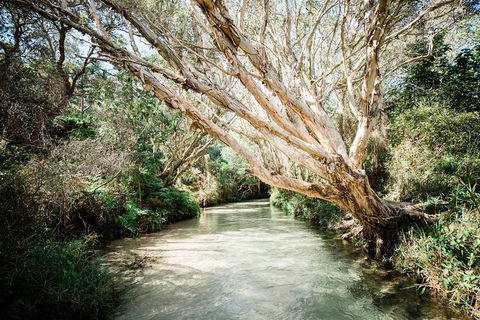 3-Day Fraser Island Resort Package - Hotel VIC 5