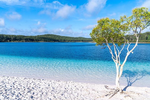 Lake McKenzie Full-Day Tour With Lunch From Hervey Bay - Hotel VIC 1