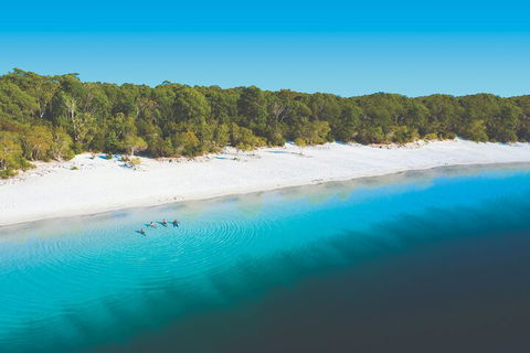 Lake McKenzie Full-Day Tour With Lunch From Hervey Bay - Hotel VIC 4
