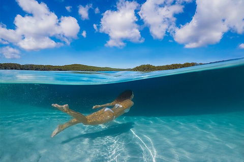 Lake McKenzie Full-Day Tour With Lunch From Hervey Bay - Hotel VIC 5