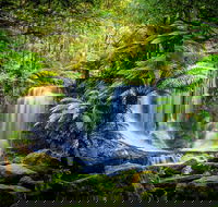 Day Tour in Mt. Field Mt. Wellington Bonorong Wildlife Sanctuary and Richmond - Hotel VIC