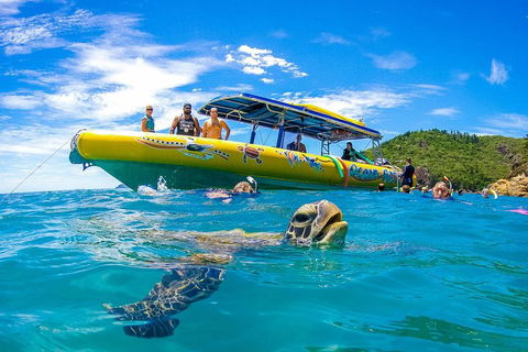 Great Barrier Reef Scenic Flight And Ocean Rafting Whitehaven Beach Day Trip - Hotel VIC 1