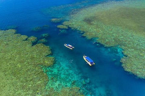 Great Barrier Reef Scenic Flight And Ocean Rafting Whitehaven Beach Day Trip - Hotel VIC 4