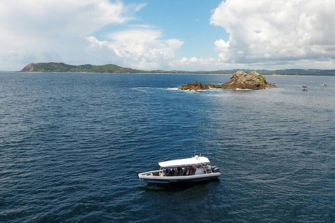 Julian Rocks Byron Bay Cruise - Hotel VIC 5