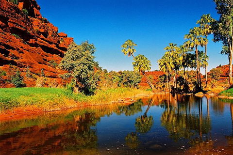 Palm Valley 4WD Day Tour - Hotel VIC 2