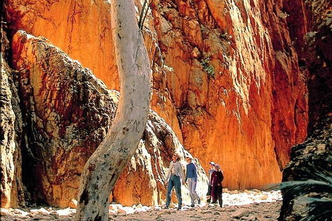 West MacDonnell Ranges Day Trip From Alice Springs - Hotel VIC 3