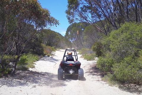 Kangaroo Island Quad Bike (ATV) Tours - Hotel VIC 4