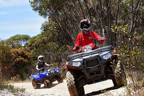 Kangaroo Island Quad Bike (ATV) Tours - Hotel VIC 5