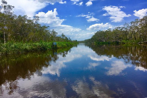 Noosa Everglades Serenity Cruise & Highlights Tour Inc. Lunch & Cruise - Hotel VIC 0