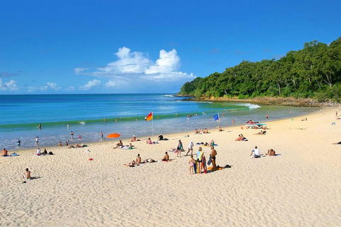 Noosa Everglades Serenity Cruise & Highlights Tour Inc. Lunch & Cruise - Hotel VIC 4