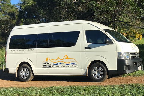 Noosa Everglades Serenity Cruise & Highlights Tour Inc. Lunch & Cruise - Hotel VIC 5