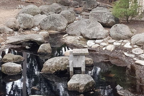 Bendigo, Echuca & The Mighty Murray - Hotel VIC 1