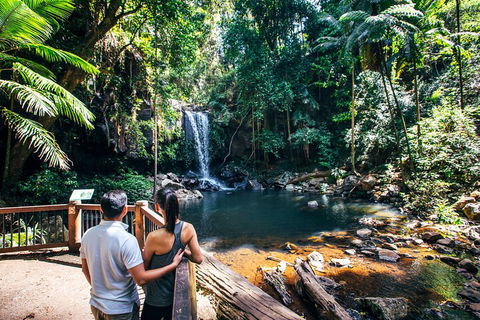 Aquaduck & Your Choice Of Gold Coast Rainforest Tour - Hotel VIC 0
