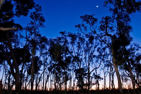Small-Group Kangaroo Island 4WD Night Tour - Hotel VIC 2