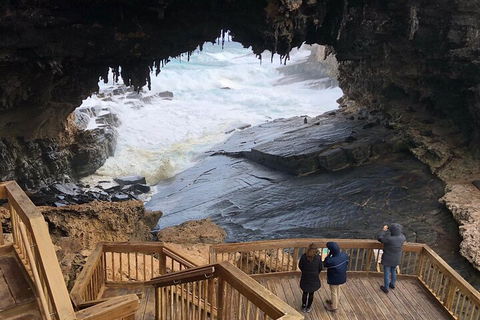 Kangaroo Island 4WD Tour - Best Of KI - Hotel VIC 1