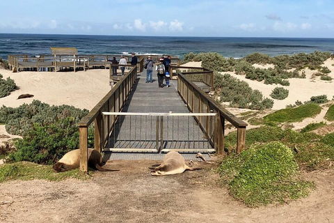 Kangaroo Island 4WD Tour - Best Of KI - Hotel VIC 2