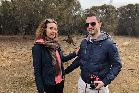 Kangaroo Island 4WD Tour - Best Of KI - Hotel VIC 3