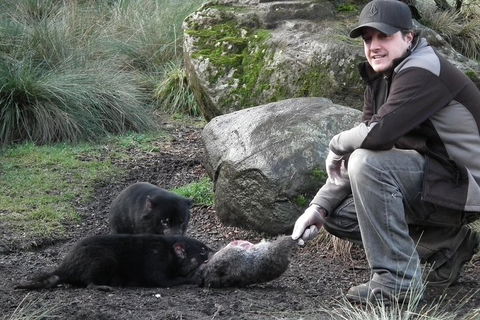 After Dark Tasmanian Devil Feeding Tour At Cradle Mountain - Hotel VIC 2