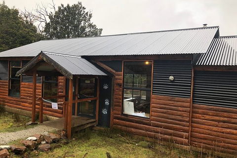 After Dark Tasmanian Devil Feeding Tour At Cradle Mountain - Hotel VIC 3